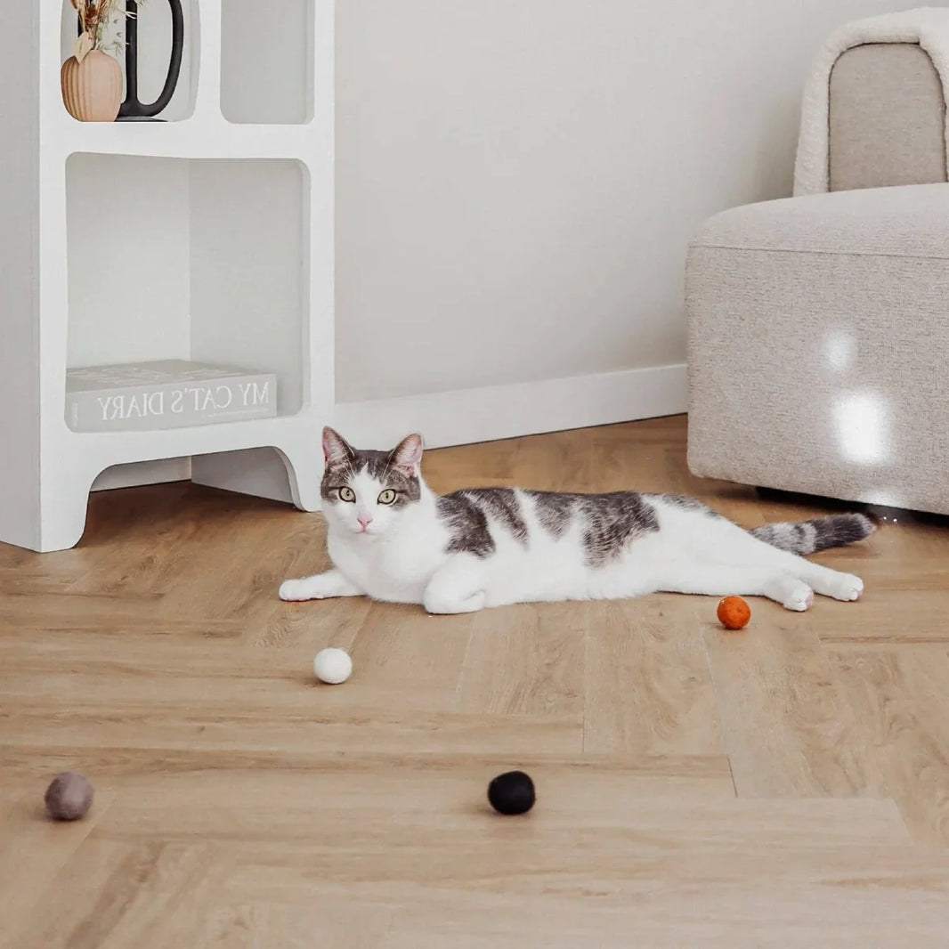 Balles pour chat d’intérieur : lesquelles choisir pour le faire jouer ?