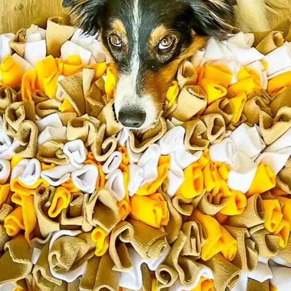 Les 10 bienfaits du tapis de fouille