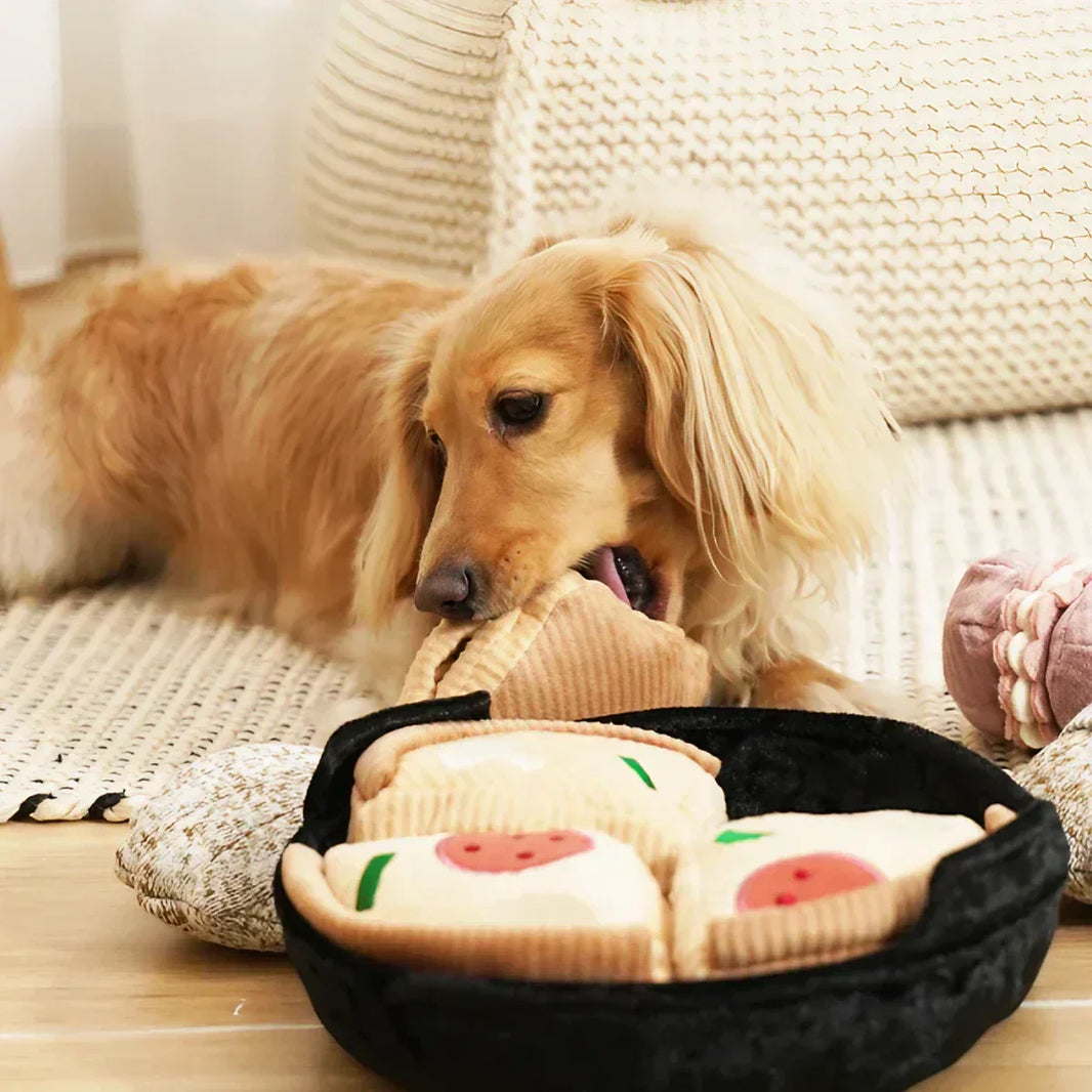 Mon chien s’ennuie : les 13 meilleurs jouets