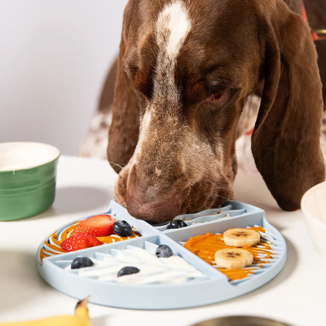 Tapis de léchage pour les chiens : à quoi ça sert et comment le choisir ?