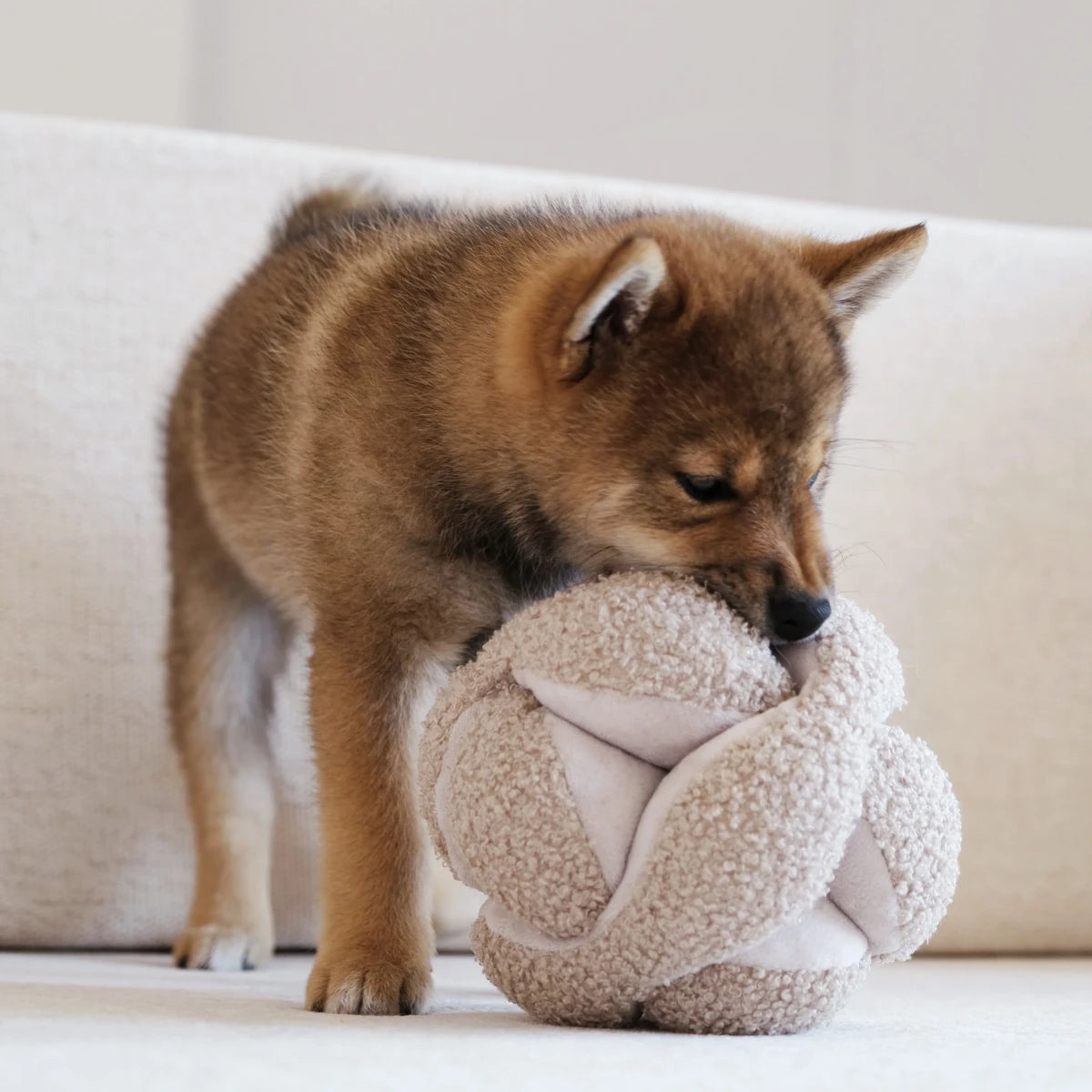 Jeu de fouille pour chien Monti