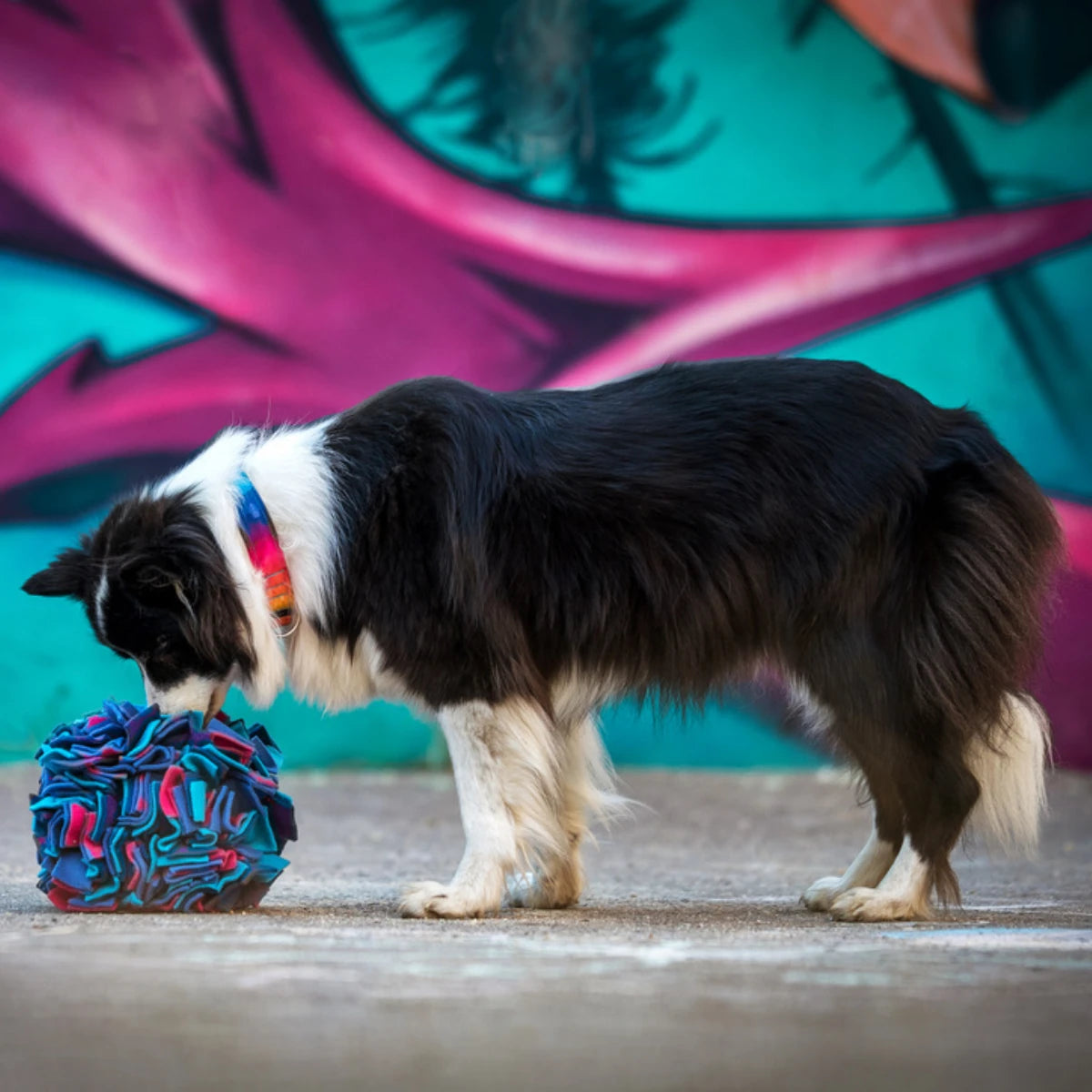 Balle de fouille pour chien