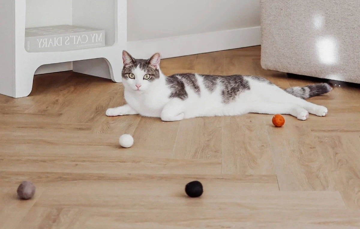 jeu balles pour chat