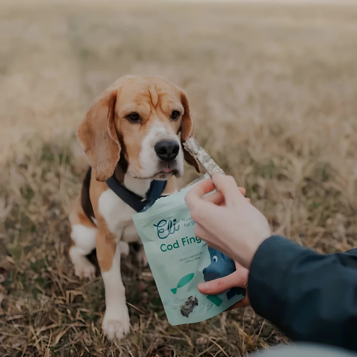 Bâtonnets peau de poisson pour chien