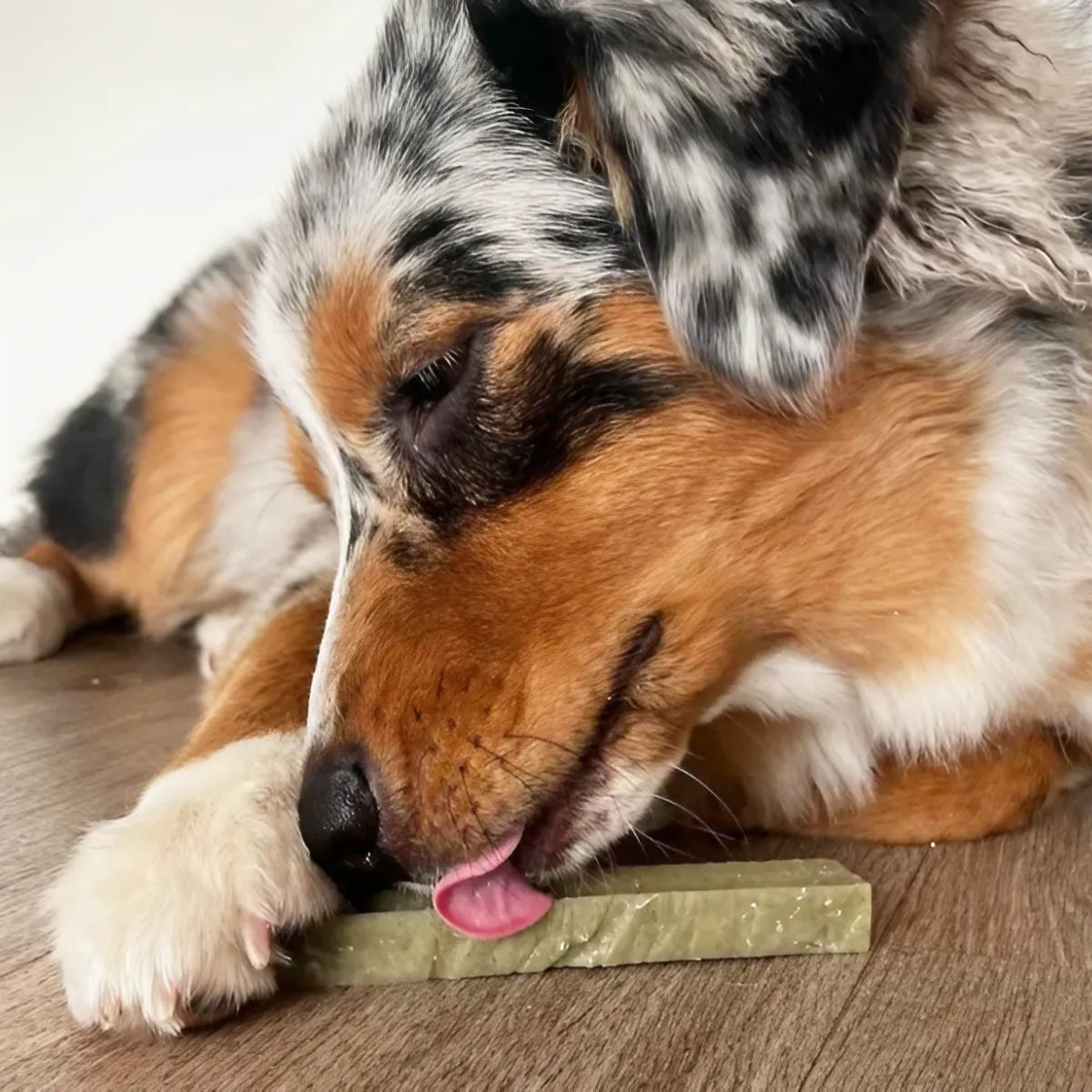 Bâtonnet de fromage à la spiruline pour chien