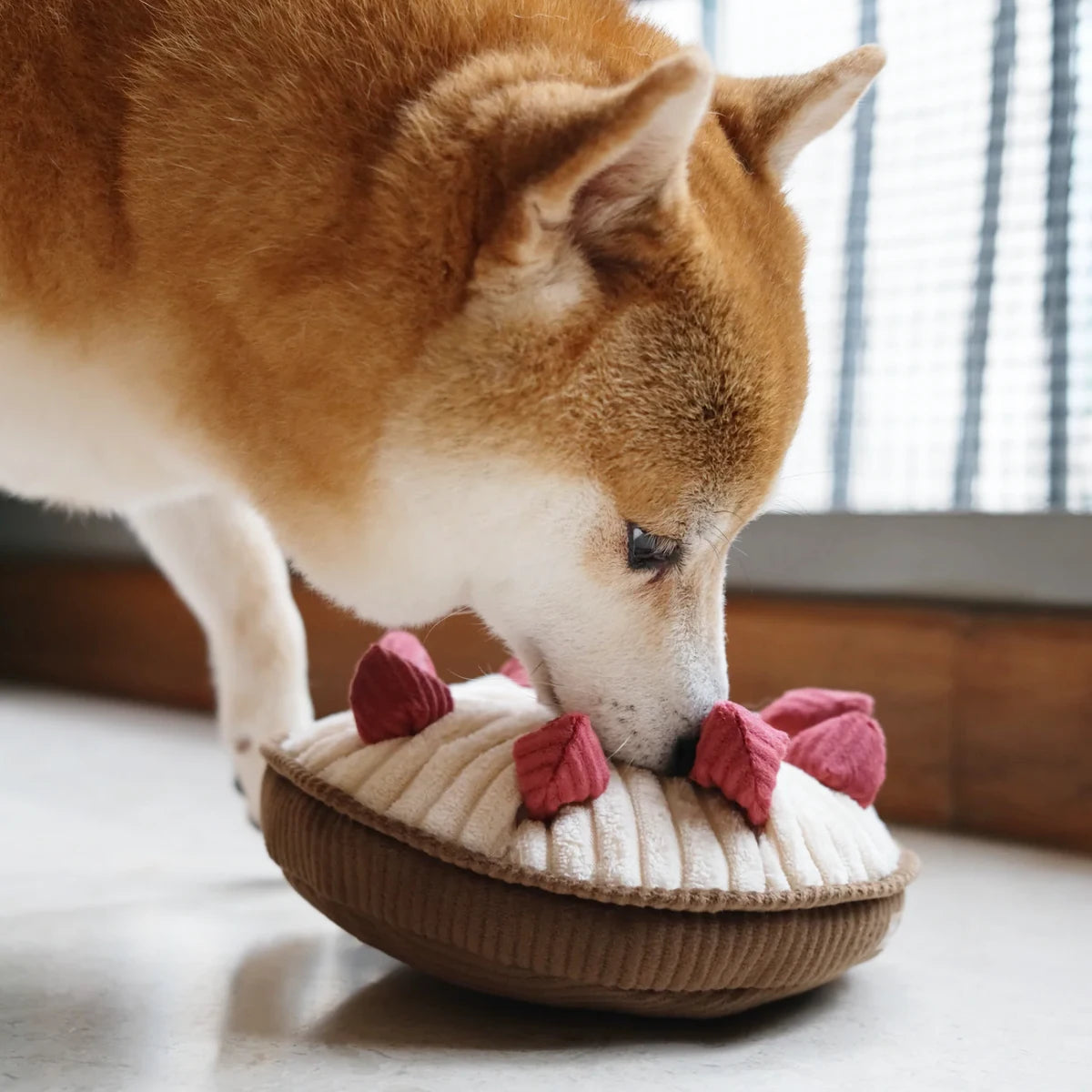 Jeu de fouille pour chien Berry pie