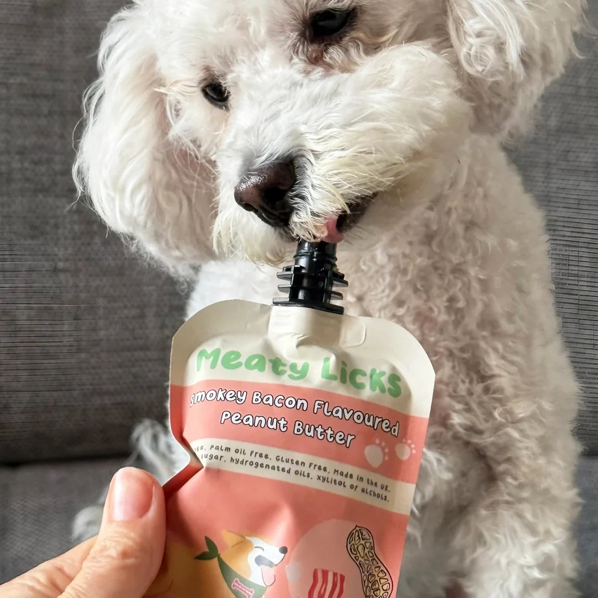 Beurre de cacahuète pour chien au bacon