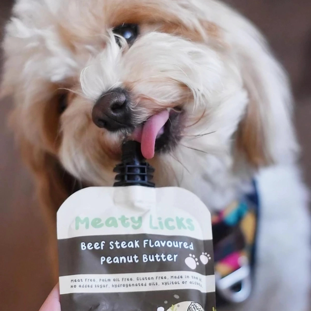 Beurre de cacahuète pour chien au boeuf