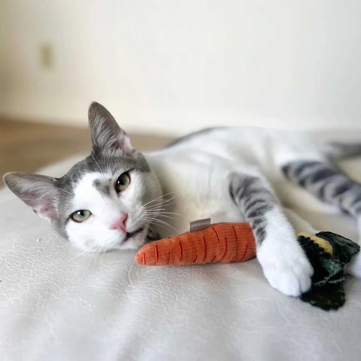 Jouet pour chat Carottes