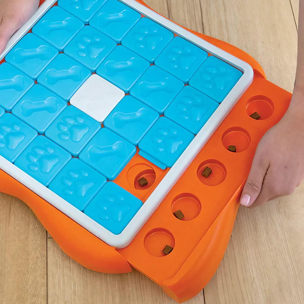 comment mettre les croquettes dans le challenge slider pour chien