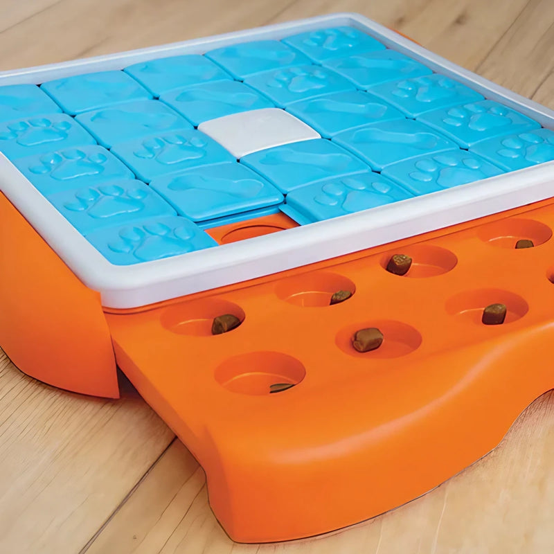 utilisation jeu d'intelligence pour chien challenge slider nina ottosson