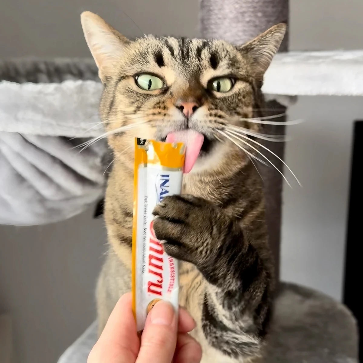 Friandises pour chat Churu au poulet