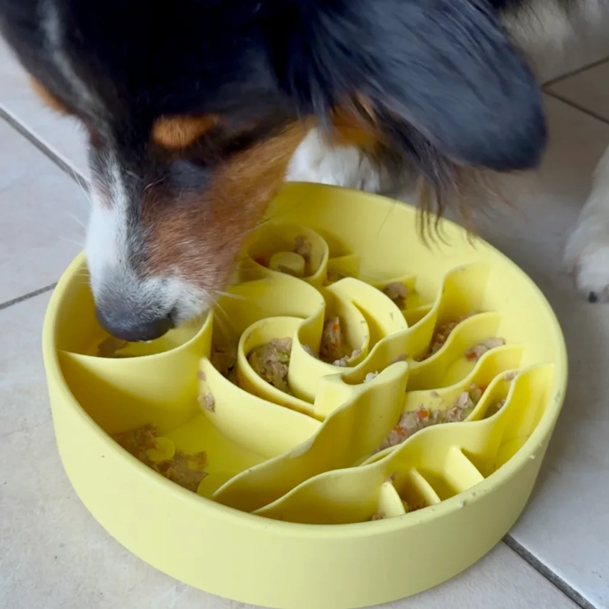 Gamelle anti-glouton pour chien Starry Night