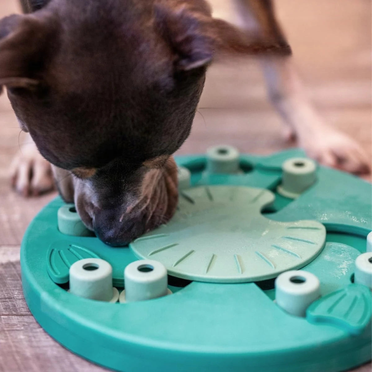 Jeu d’intelligence pour chien Dog Worker
