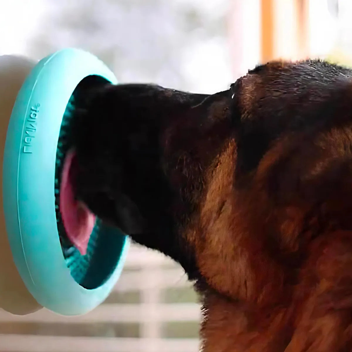 Tapis de léchage pour chien UFO