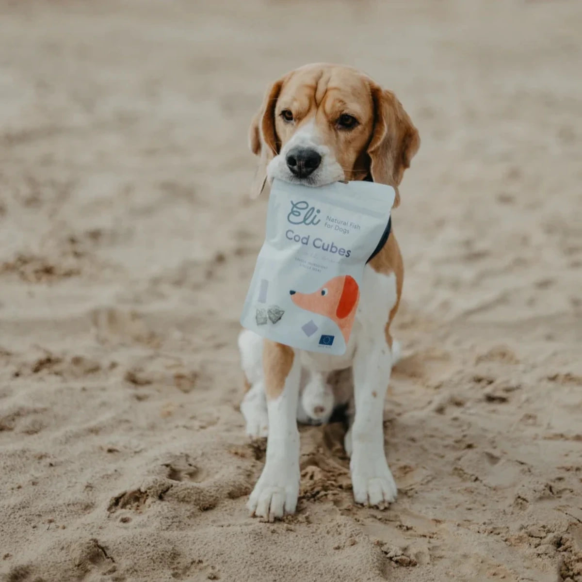 Cubes de peau de poisson pour chien