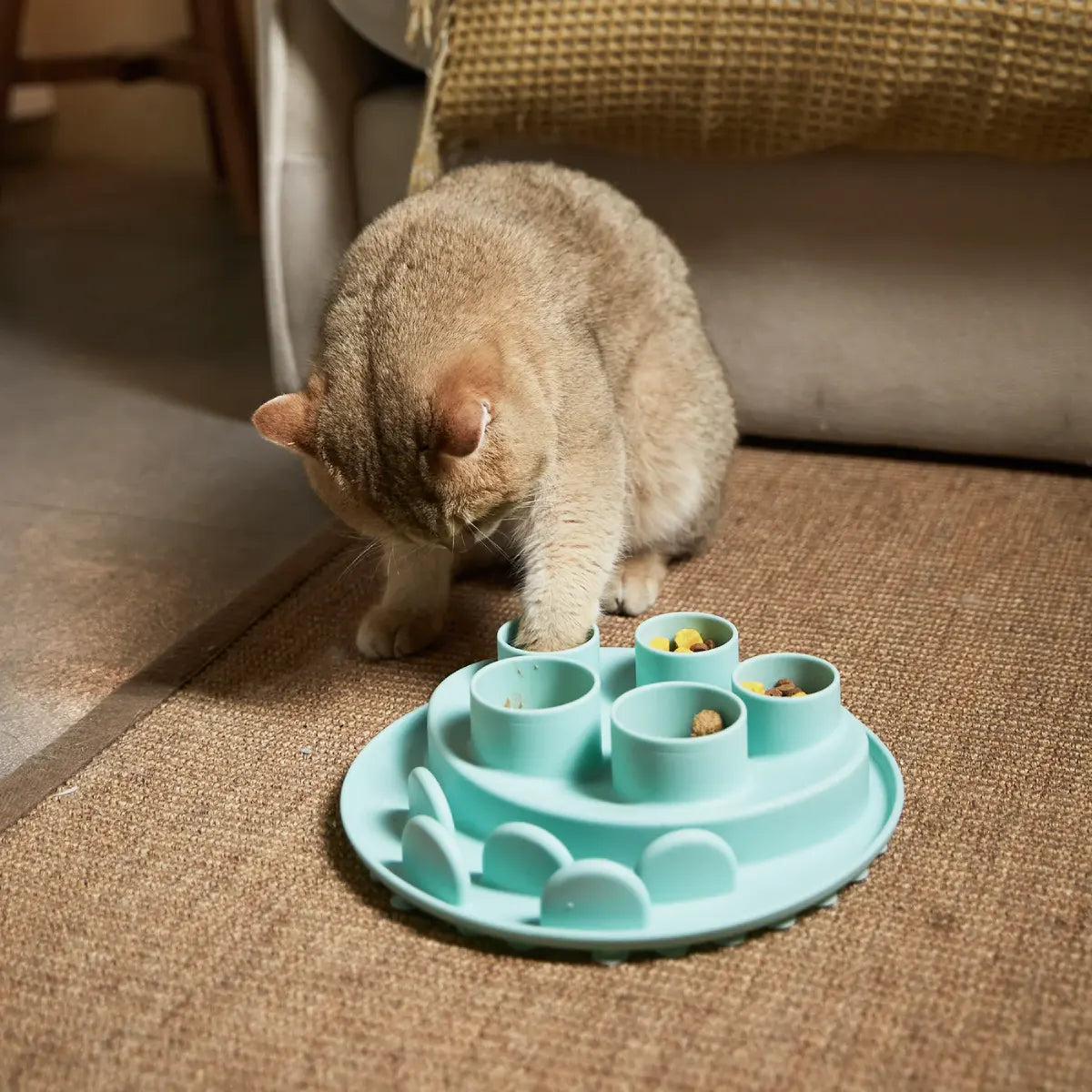 Gamelle anti-glouton pour chat Digger