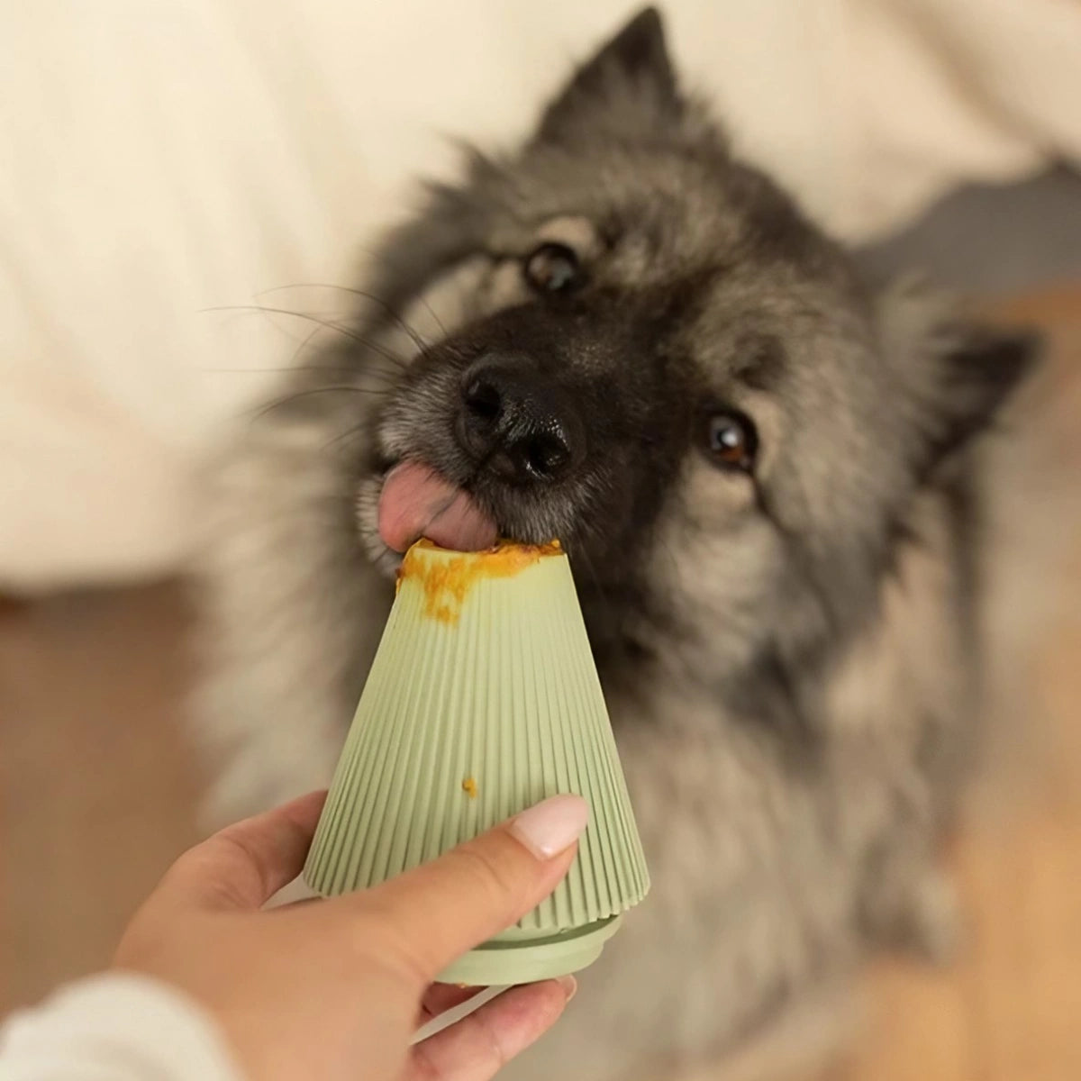 Distributeur de friandises pour chien YUME