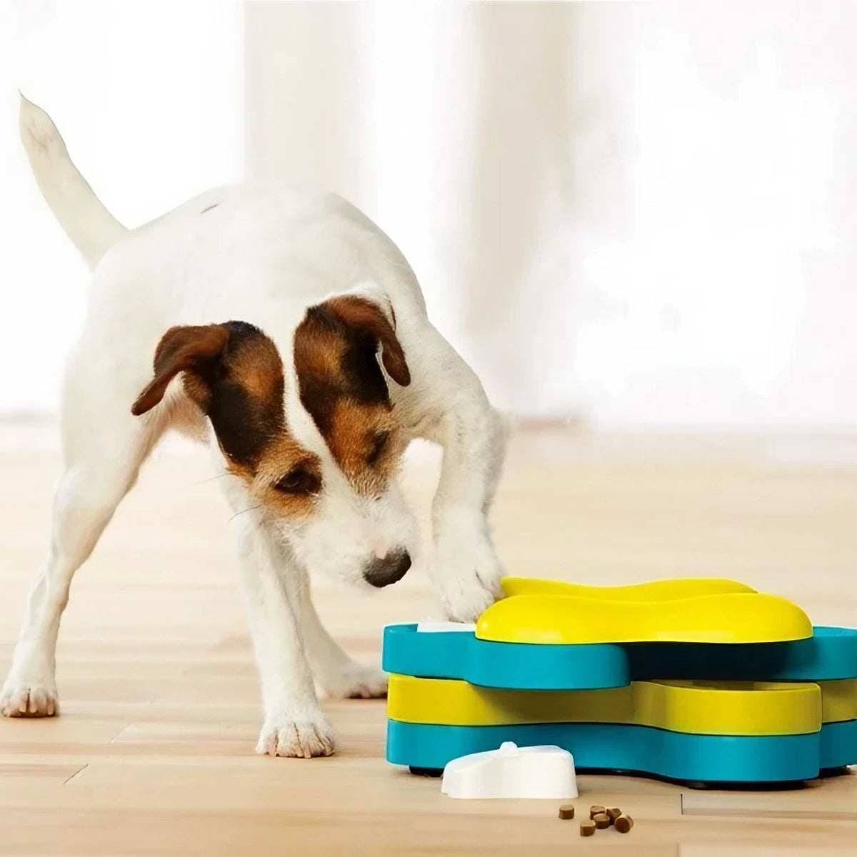 Jeu d'intelligence pour chien Tornado