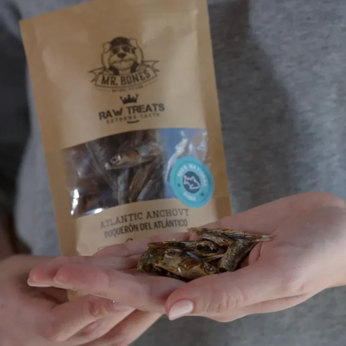 Morceaux d’anchois pour chien