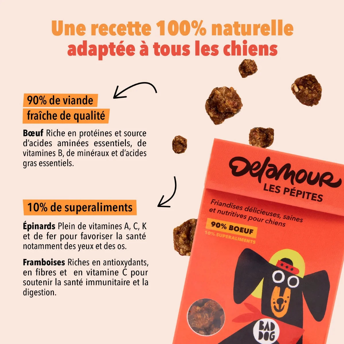 Bienfaits des friandises pour chien Les Pépites au boeuf Delamour