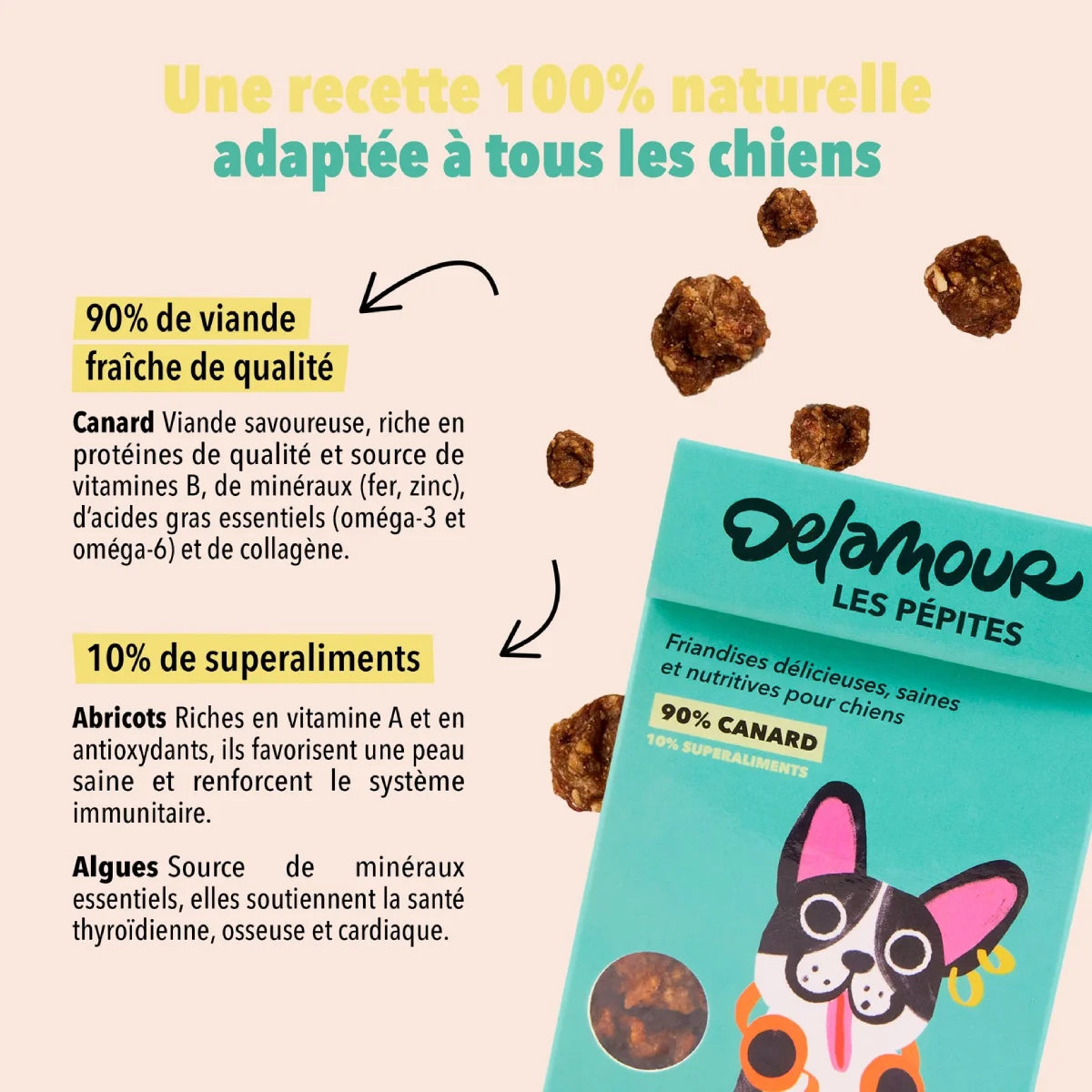 les bienfaits es friandises au canard les pépites delamour