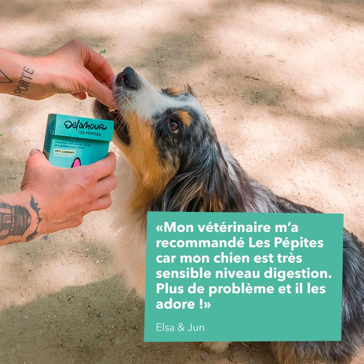 un chien mange des friandises au canard delamour