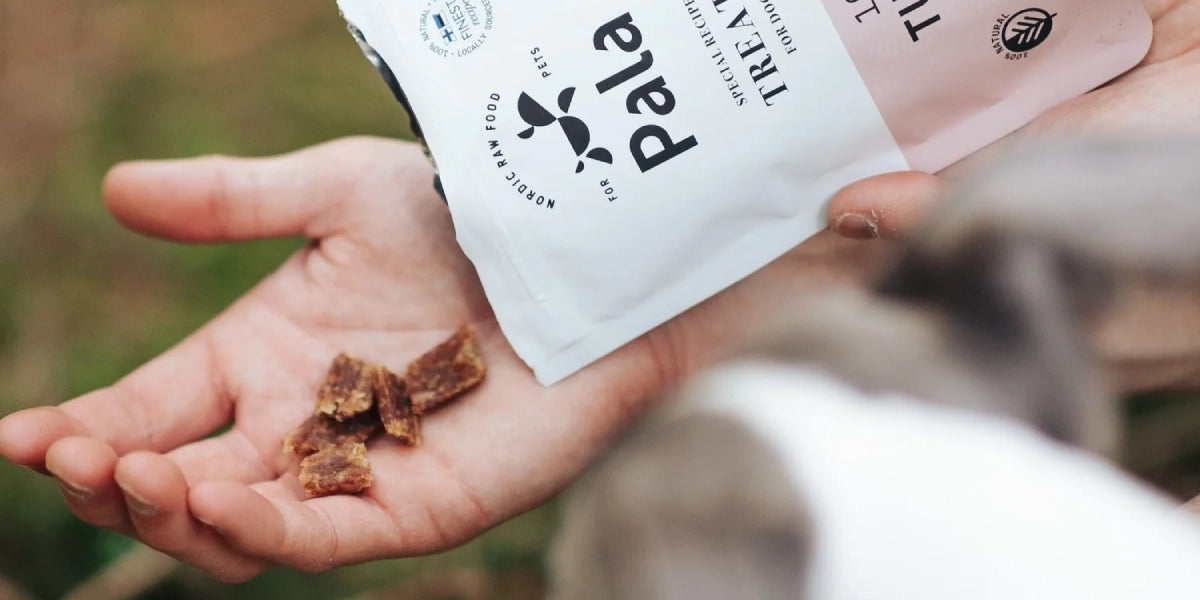 Friandises d'éducation pour chien Pala