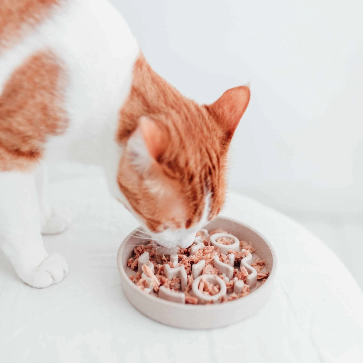 Gamelle anti-glouton pour chat en bambou