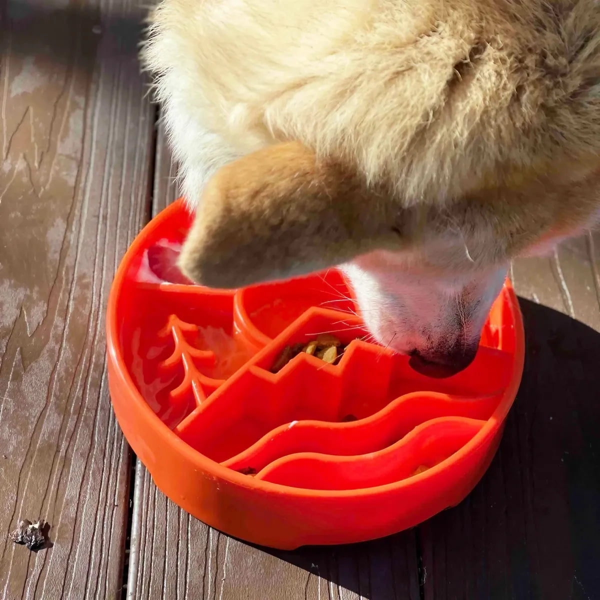 Gamelle d’enrichissement pour chien Montagne