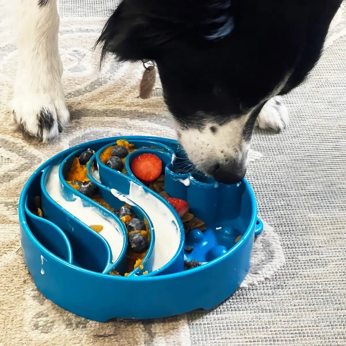 Gamelle d’enrichissement pour chien Vague