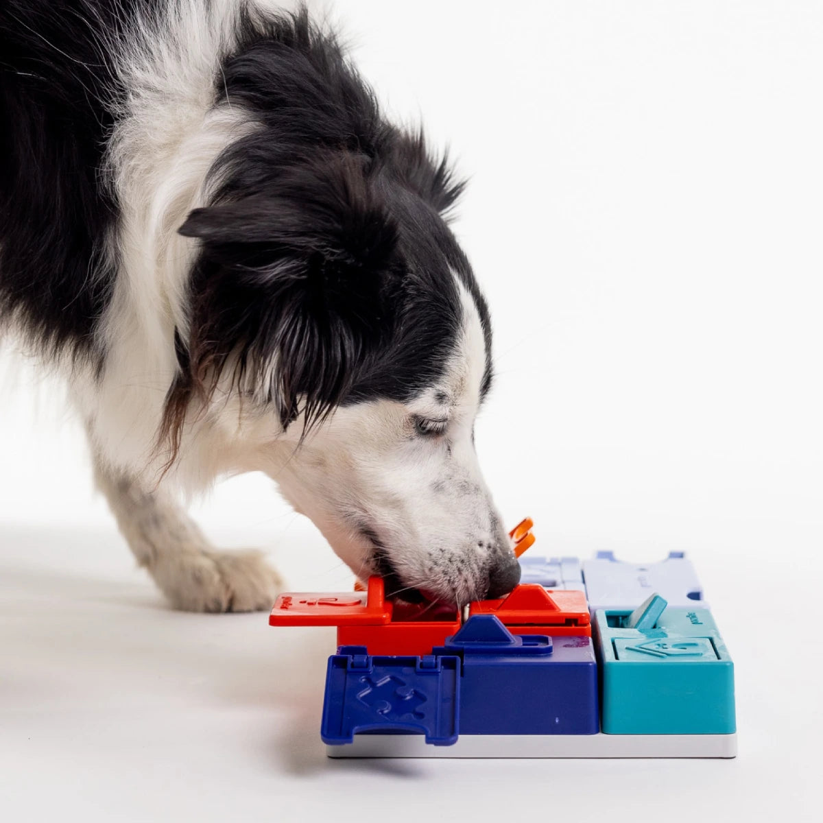 Jeu d’intelligence pour chien Genius Set