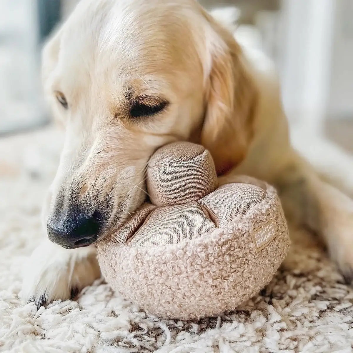 Jeu de fouille pour chien Guu