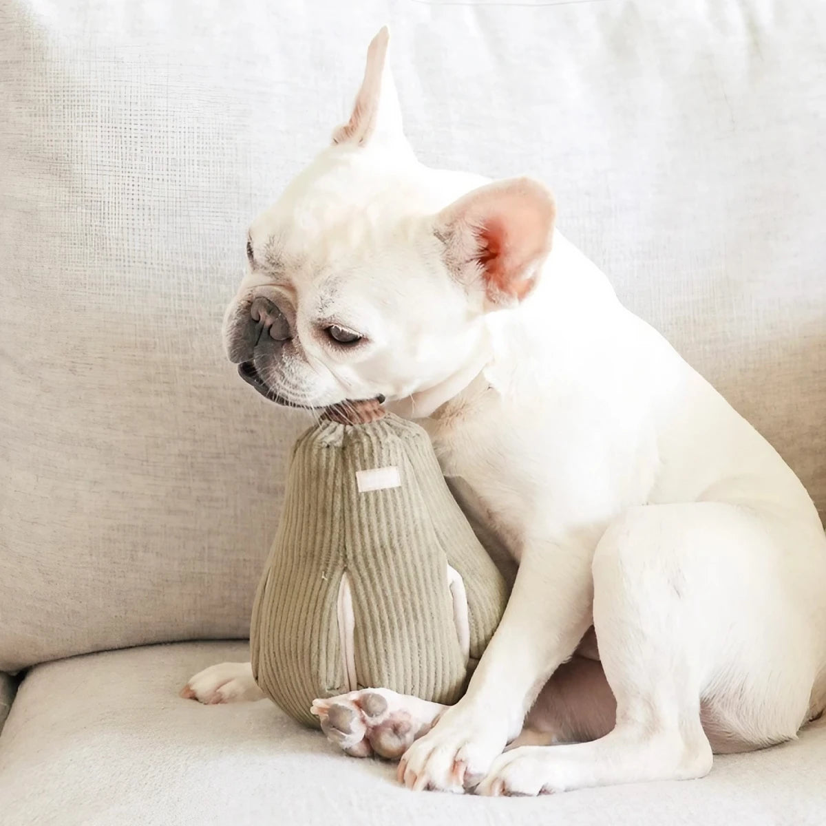 Jeu de fouille pour chien Butternut