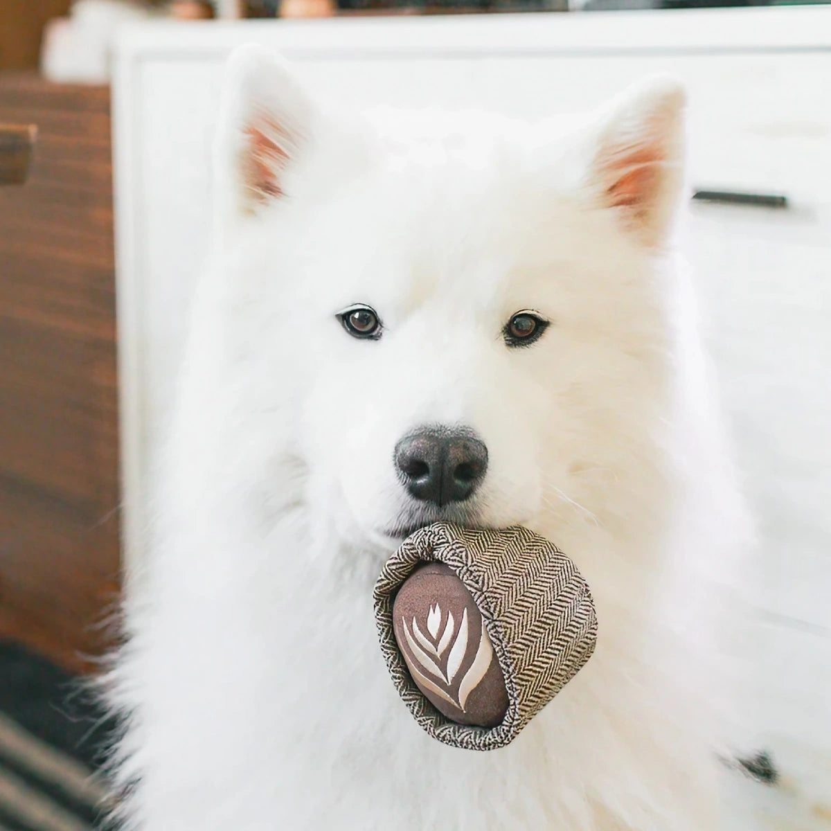 Jeu d’occupation pour chien Latte Pop