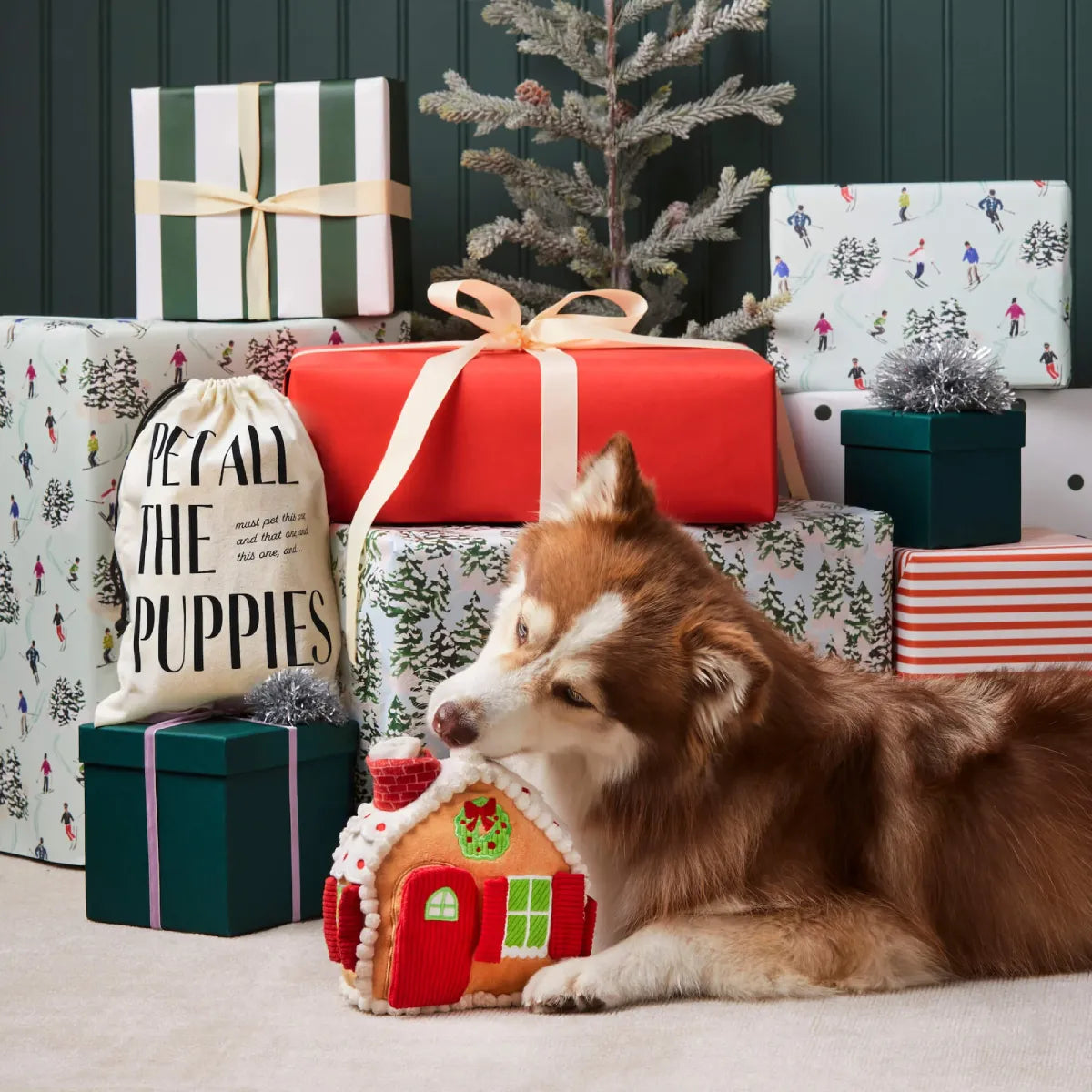 un chien s'occupe avec le jeu de fouille maison en pain d'épices