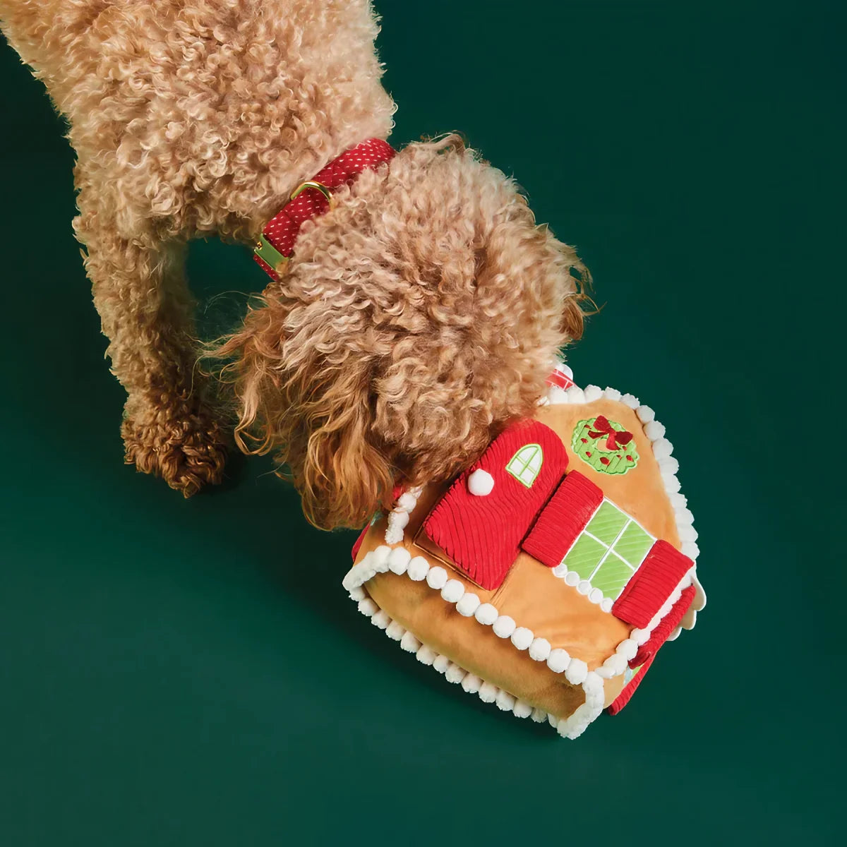 un chien renifle son jeu de fouille maison en pain d'épices