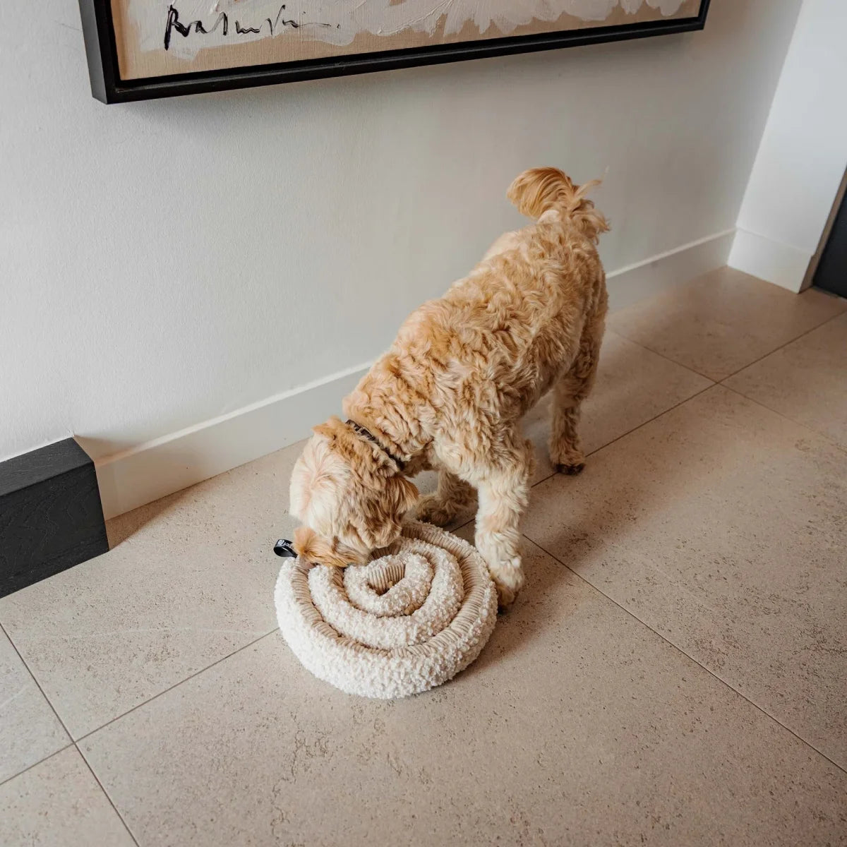 Chien utilisant le jeu de fouille Swirl beige de District 70 sur un sol en carrelage