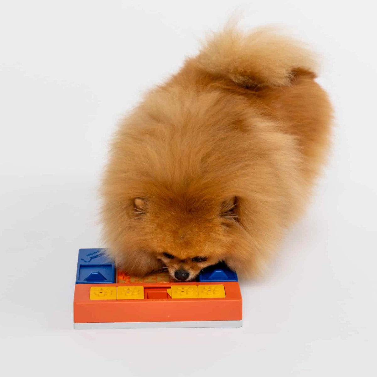 Jeu d’intelligence pour chien Beginner Set