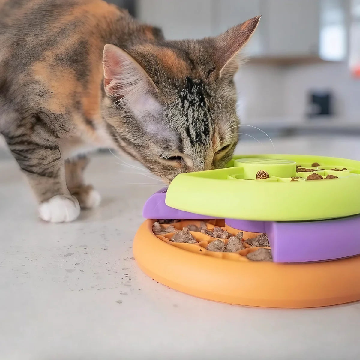 Jeu d’intelligence pour chat Kitty Lickin’ Layers