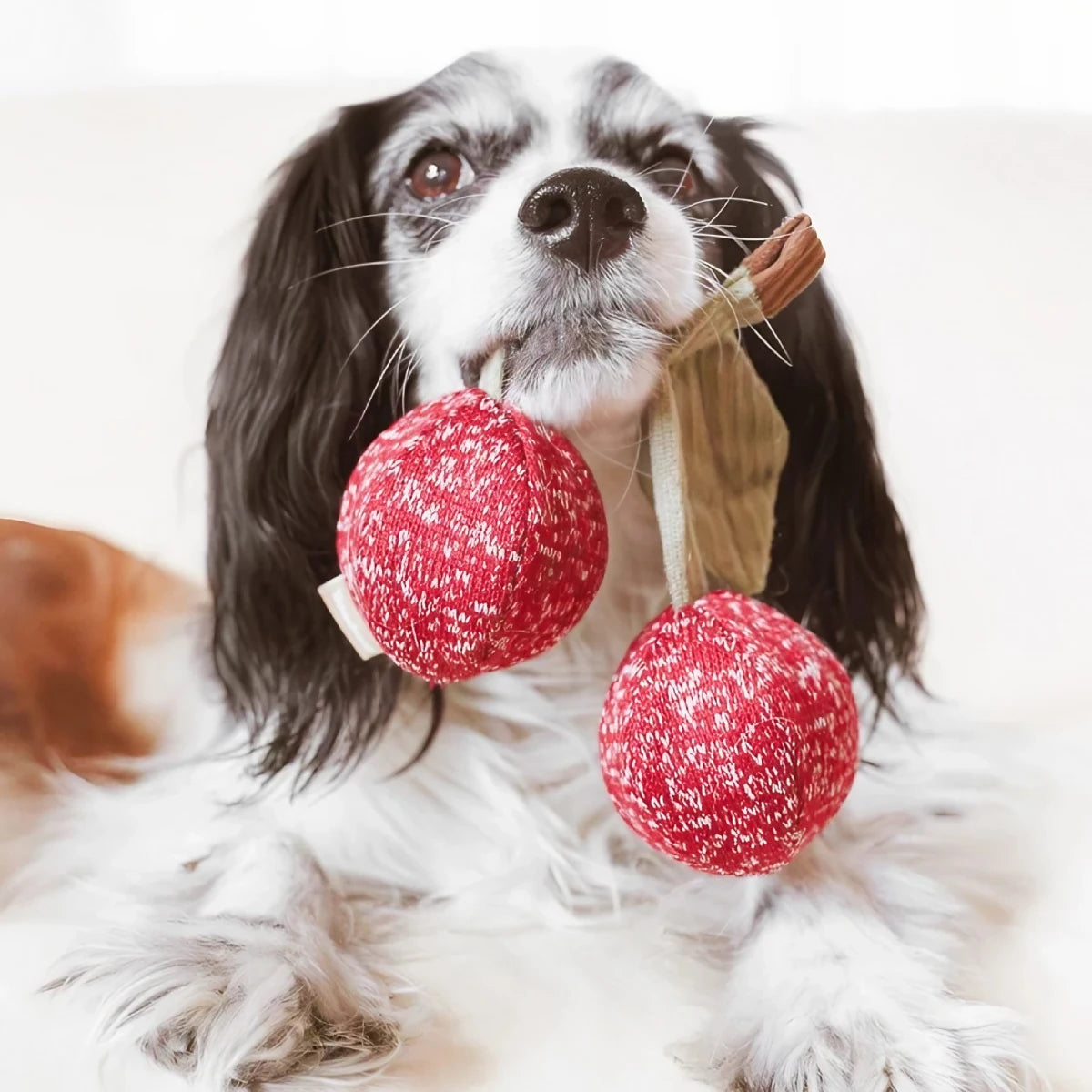 Jeu de fouille pour chien Cherry Pop