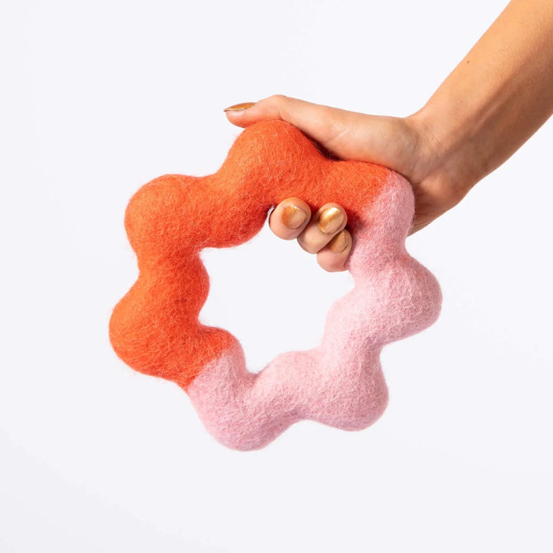 jeu à tirer pour chien wiggle ring tenu dans la main