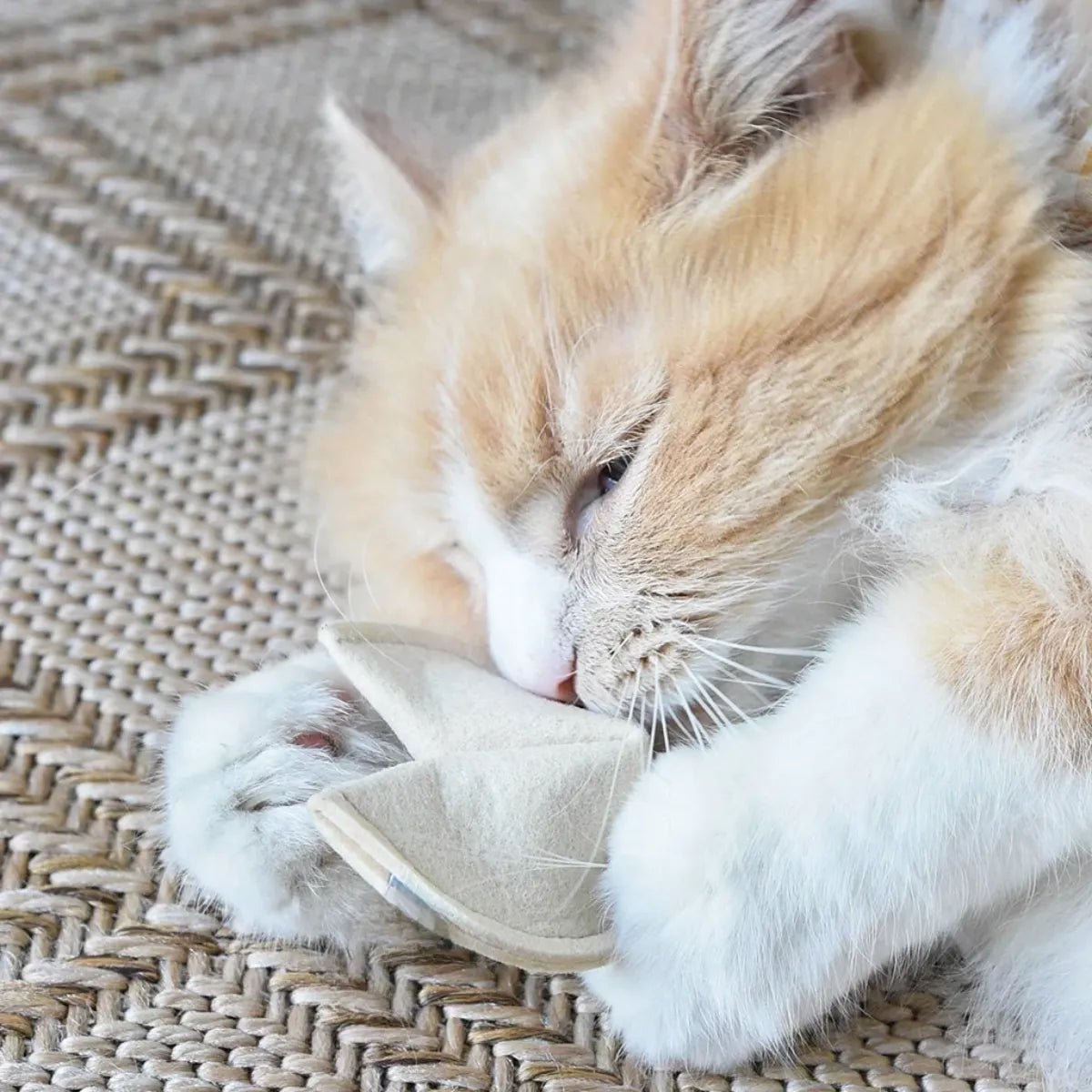 Jouet pour chat à l'herbe à chat Fortune Cookie