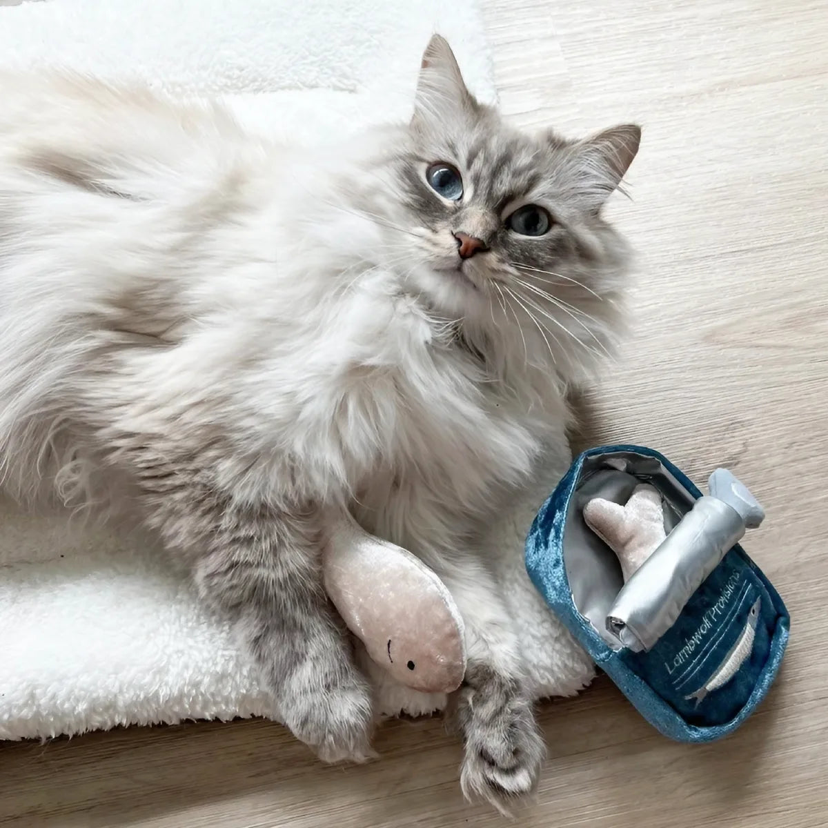 Jeu de fouille pour chat Sardines