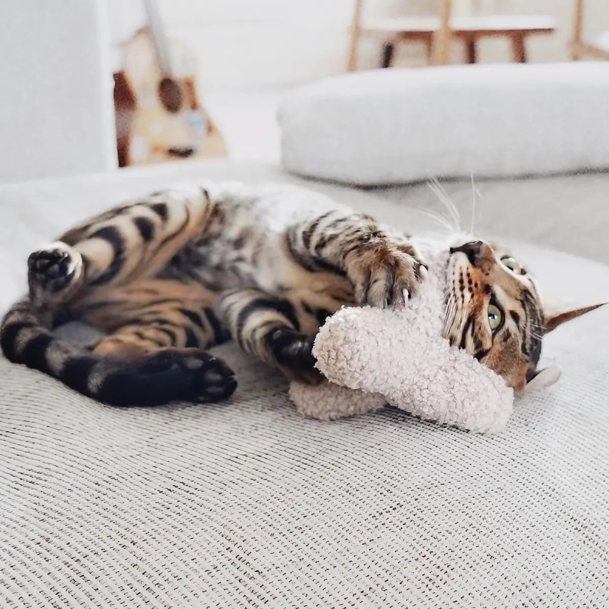 Jouet pour chat Kitty Breuer