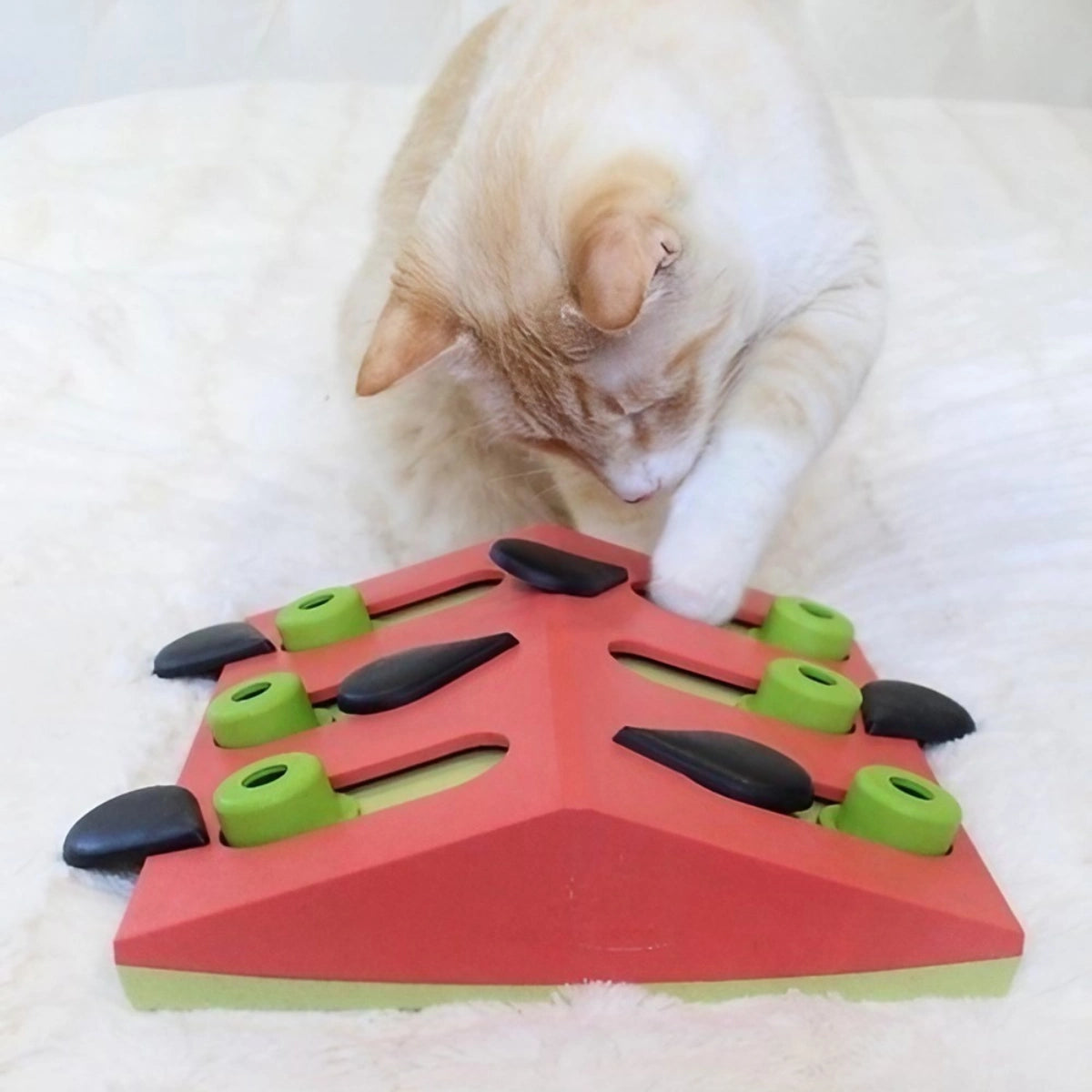 Jeu d’intelligence pour chat Melon Madness