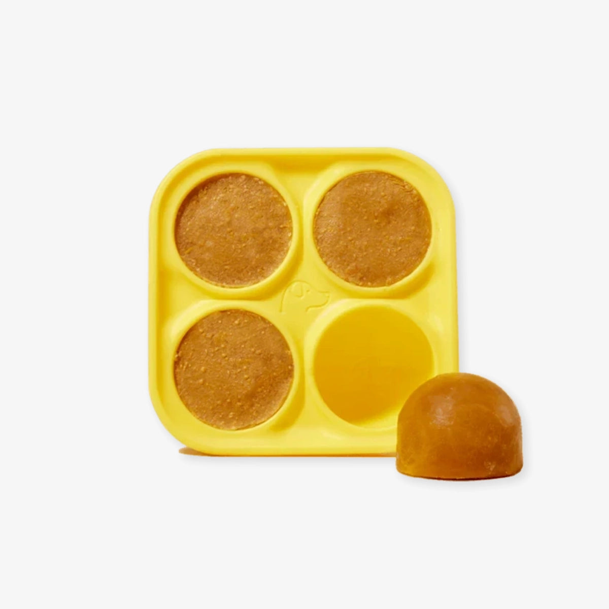 Moule à friandises pour chien Treat Tray