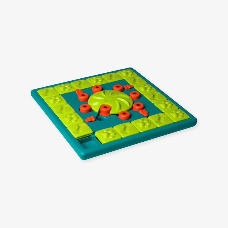 jeu d'intelligence pour chien multipuzzle nina ottosson