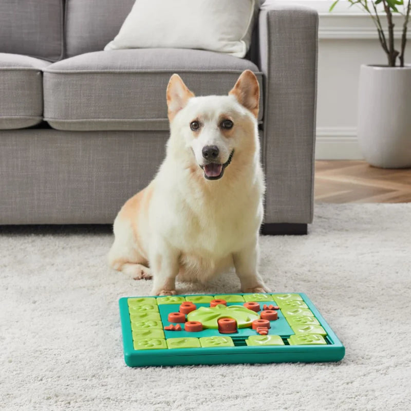un corgi joue avec le jeu d'occupation multipuzzle nina ottosson