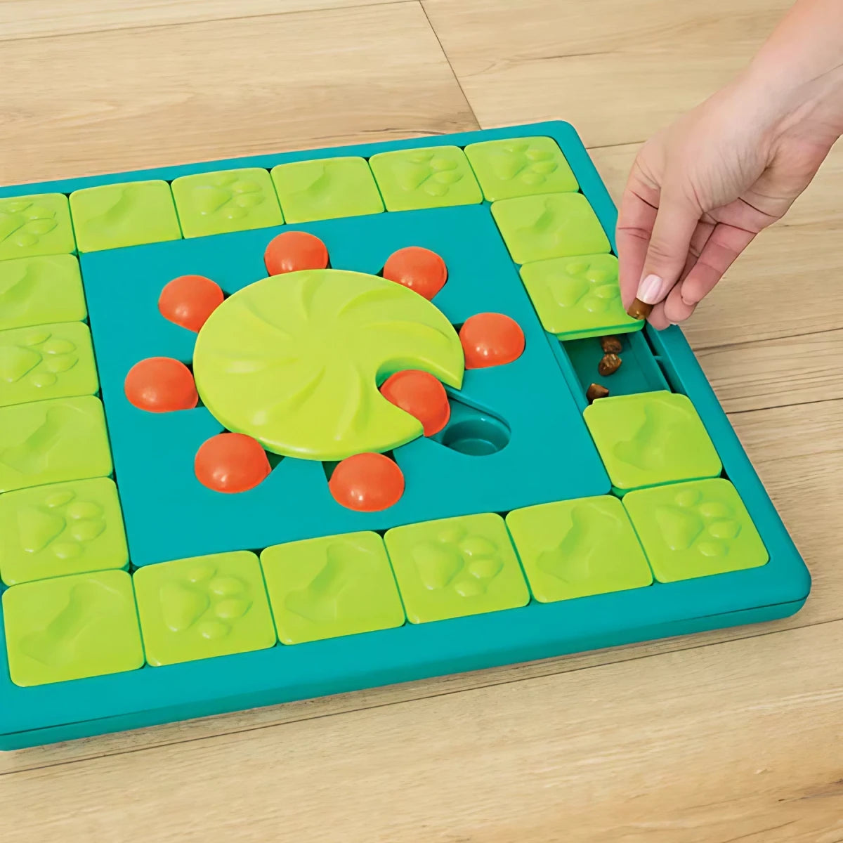 utilisation jeu d'intelligence pour chien  multipuzzle nina ottosson